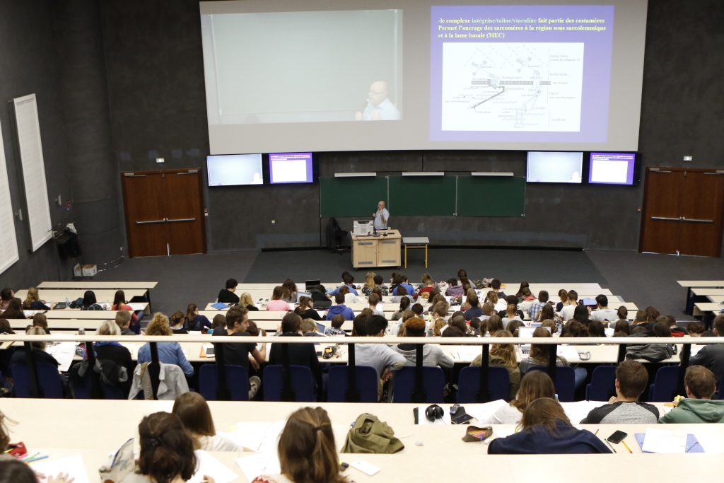 Master Université catholique de Lille ESSLIL sociologie management sciences sociales